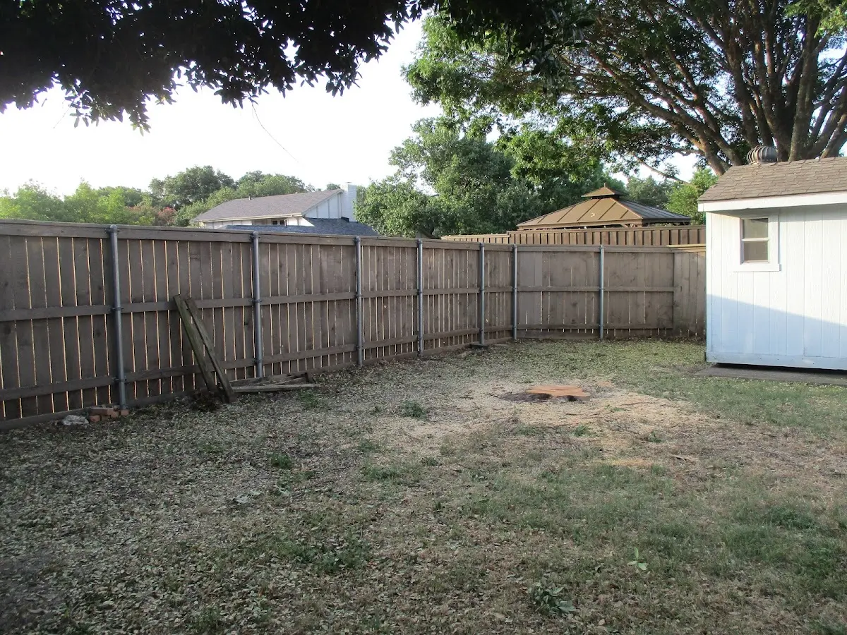 Cleared yard after professional tree removal in Chokoloskee