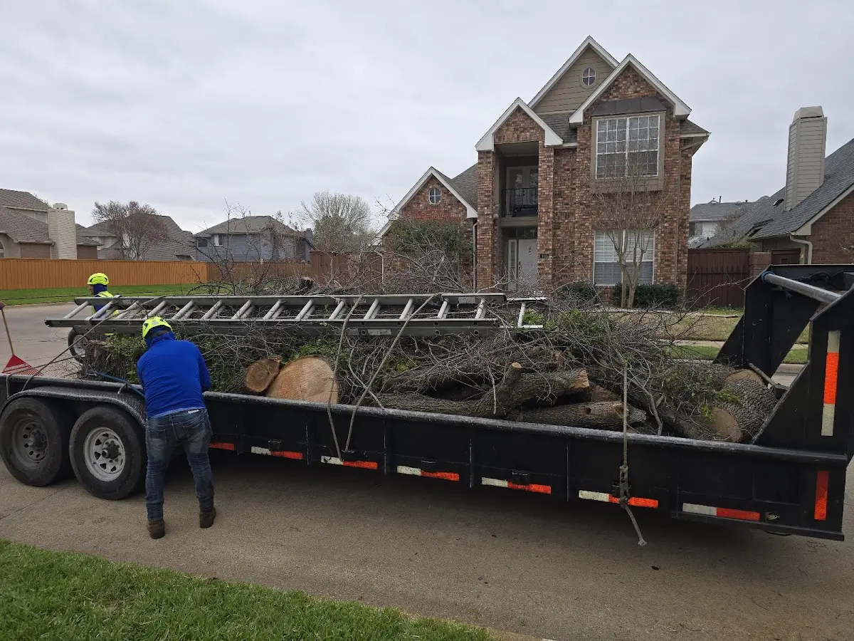 Expert Tree Fertilization with proper safety equipment in Chokoloskee